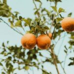 h benigno hoyuela e1zwxibd7la unsplash