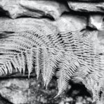 h mick haupt ss0rn7unbk unsplash