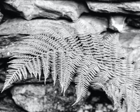 h mick haupt ss0rn7unbk unsplash