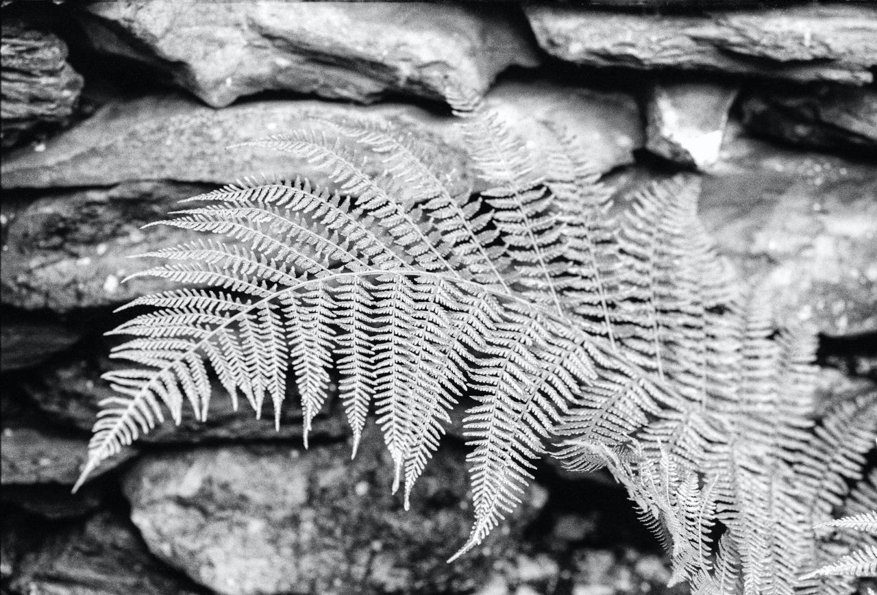 h mick haupt ss0rn7unbk unsplash