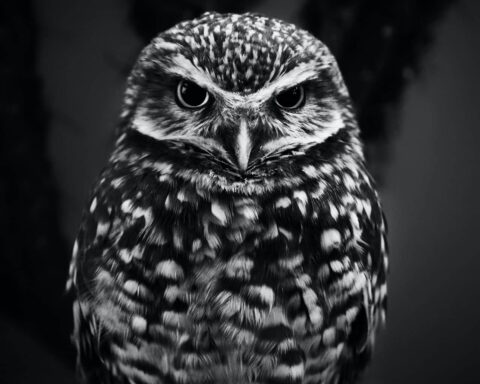 h vidar nordli mathisen tg5dtpmf1i4 unsplash